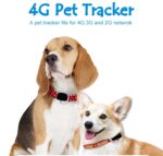 4G GPS Lokator za pse i macke (RF-V43)