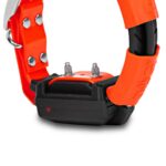 GPS Sistem za praćenje i treniranje pasa DOGTRACE GPS X30T