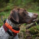 GPS Sistem za praćenje i treniranje pasa DOGTRACE GPS X30T