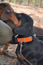 Dogtrace GPS Sistem za praćenje pasa DOG GPS X20