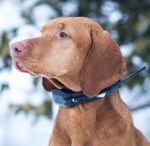 Dogtrace GPS Sistem za praćenje pasa DOG GPS X20