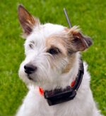 Dogtrace GPS Sistem za praćenje pasa DOG GPS X20
