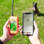 GPS Sistem za praćenje i treniranje pasa DOGTRACE GPS X30T