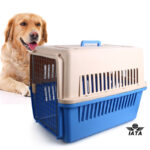Transporter za pse Petwant IATA standard FC1004 (81cm D x 57cm Š x 61cm V)