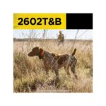 Dogtra 2602T&B Dresura i Biper