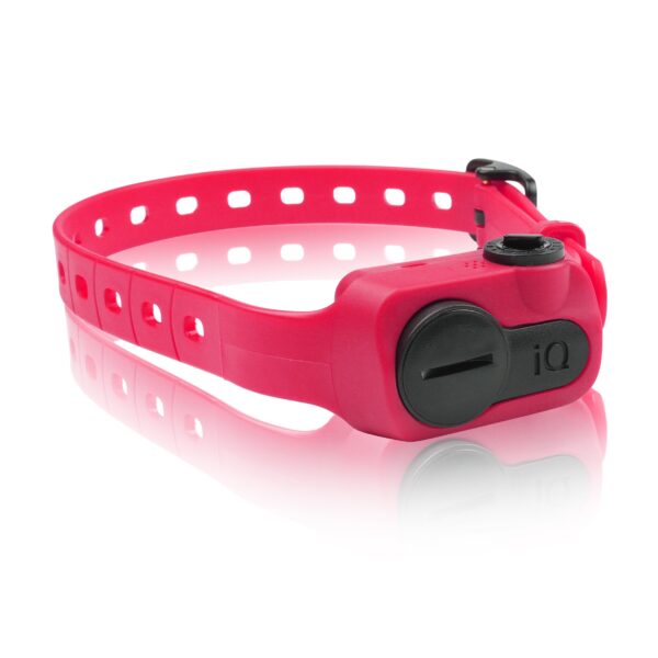 Dogtra Ogrlica protiv lajanja IQ No Bark-Pink