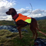 Dogtrace GPS Zaštitni Prsluk za Pse (Aramid)