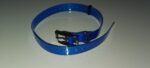 Dogtrace Plavi plastificirani kaiš za pse D-Ring 2.5cmx72cm