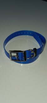 Dogtrace Plavi plastificirani kaiš za pse D-Ring 2.5cmx72cm