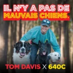 Teletakt za dresuru pasa Dogtra Tom Davis Edition 640C (280C)