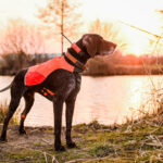 Dogtrace GPS Sistem za praćenje pasa DOG GPS X25T