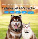 GPS za kućne ljubimce V41 GSM