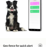 GPS za kućne ljubimce V41 GSM
