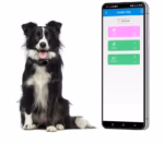 GPS za kućne ljubimce V41 4G