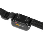 Ogrlica Dogtrace D-Control Edge 200