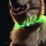 Led svetleća ogrlica u boji 70cm