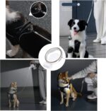 Automatski povodac sa trakom i svetlom Kimpets 3m