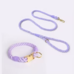 Povodac & okovratnik lux purple