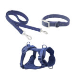 Povodac & Am & Ogrlica Komplet blue
