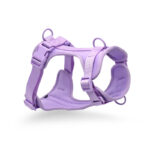 Povodac & Am & Ogrlica Komplet purple