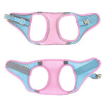 Povodac & Am Duomm Blue Pink