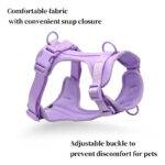 Povodac & Am & Ogrlica Komplet purple