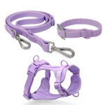 Povodac & Am & Ogrlica Komplet purple