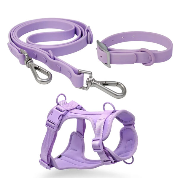 Povodac & Am & Ogrlica Komplet purple