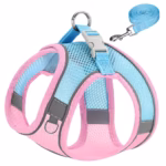 Povodac & Am Duomm Blue Pink