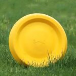 Trening frizbi 21cm Dogtrace