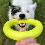 Trening prsten M 19,5cm Dogtrace