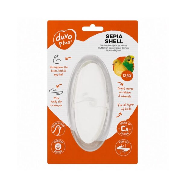 Sipina kost Sepia Shell