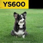 Dogtra Ogrlica protiv lajanja YS600 - Slika 3