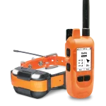 Dogtra Pathfinder2 Compass