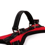 Am black red leopard camouflage (camouflage)