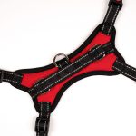 Am black red leopard camouflage (camouflage)
