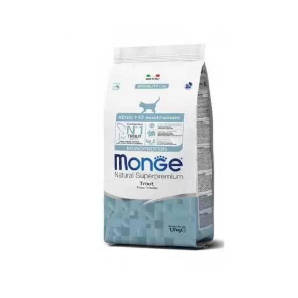 monge kitten